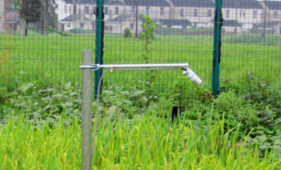 CX60AT植物冠层温度传感器